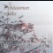 Pyhäaamun rauha - Jouni Somero, piano